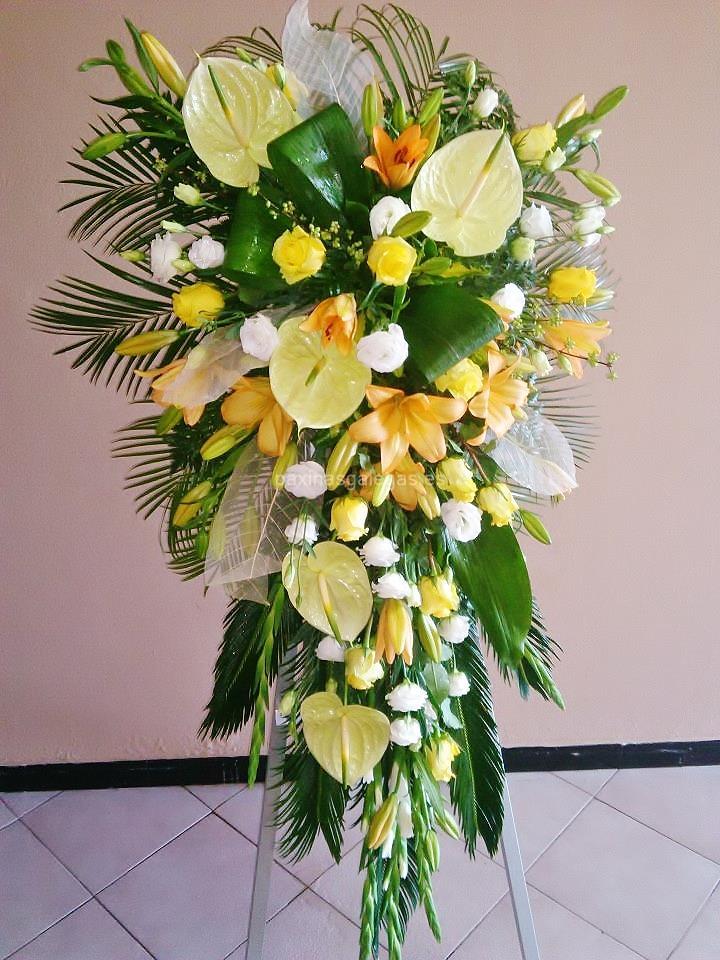 Floristería Carla - Grupo San Martín imagen 18