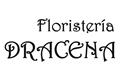 logotipo Floristería Drácena - Mandaflor