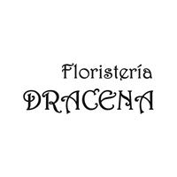 Logotipo Floristería Drácena - Mandaflor