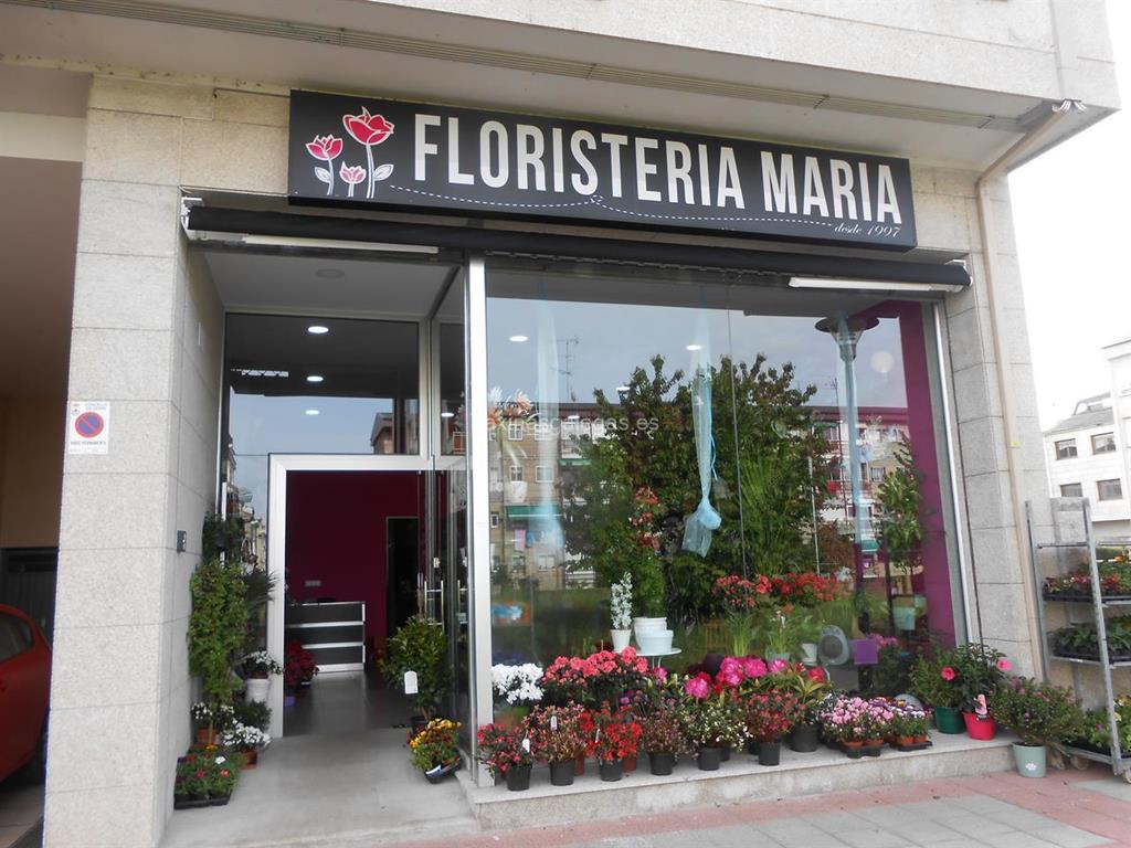imagen principal Floristería María - Flor 10