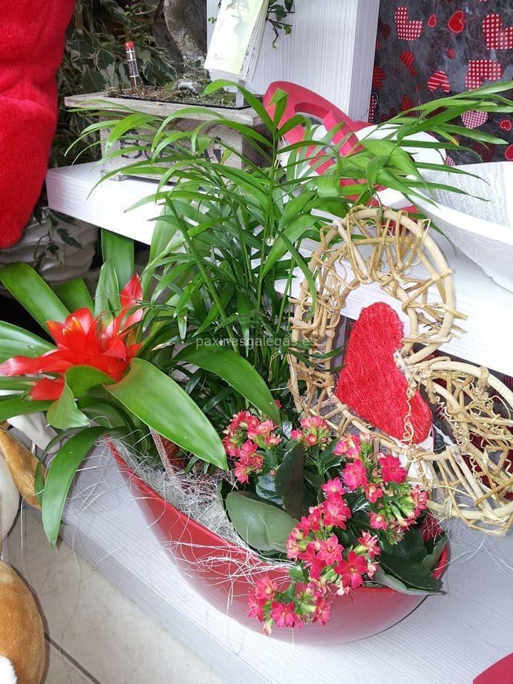 Floristería Nelke - Interflora imagen 14