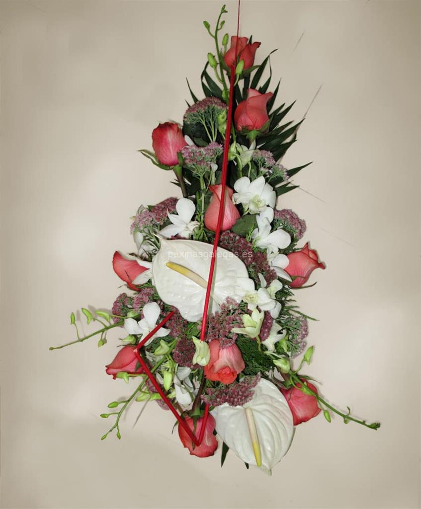 Floristería Nelke - Interflora imagen 9