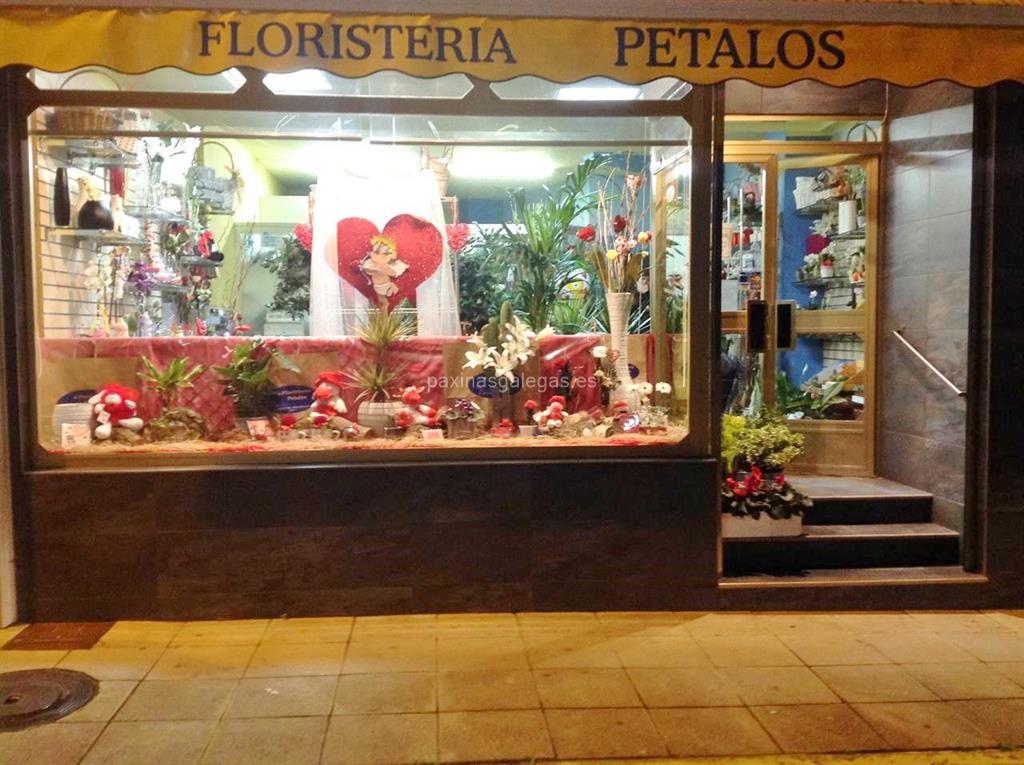 imagen principal Floristería Pétalos - Teleflora - Flor 10