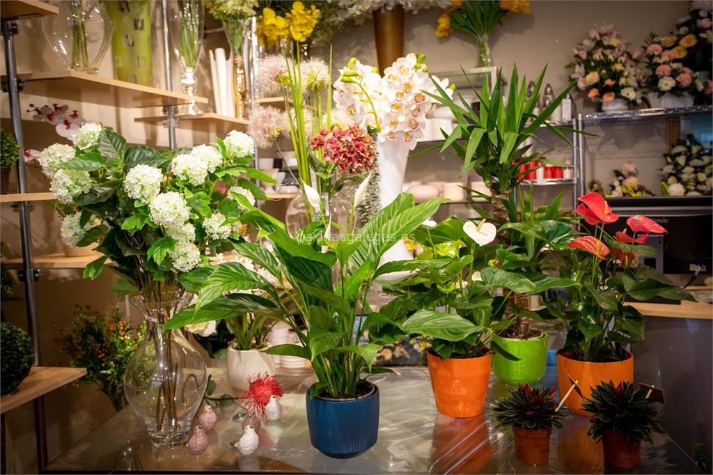 Floristería San Pelayo imagen 6