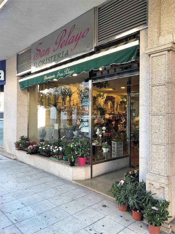 Floristería San Pelayo