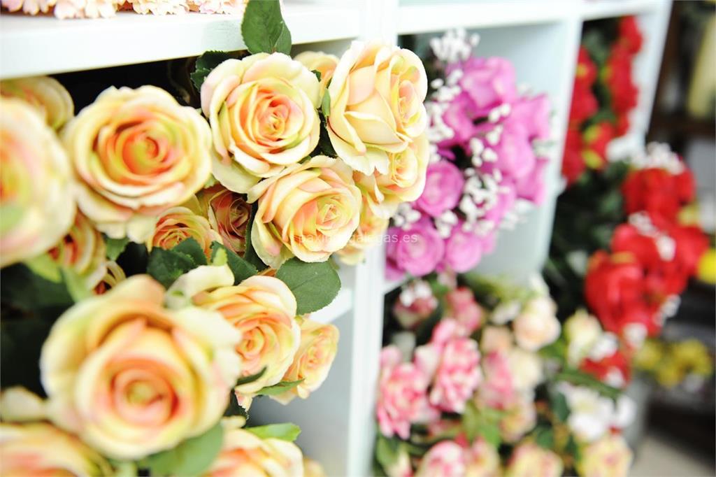 Floristería Sedes imagen 12