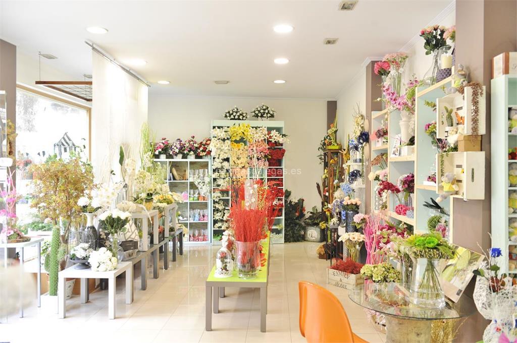 Floristería Sedes imagen 16