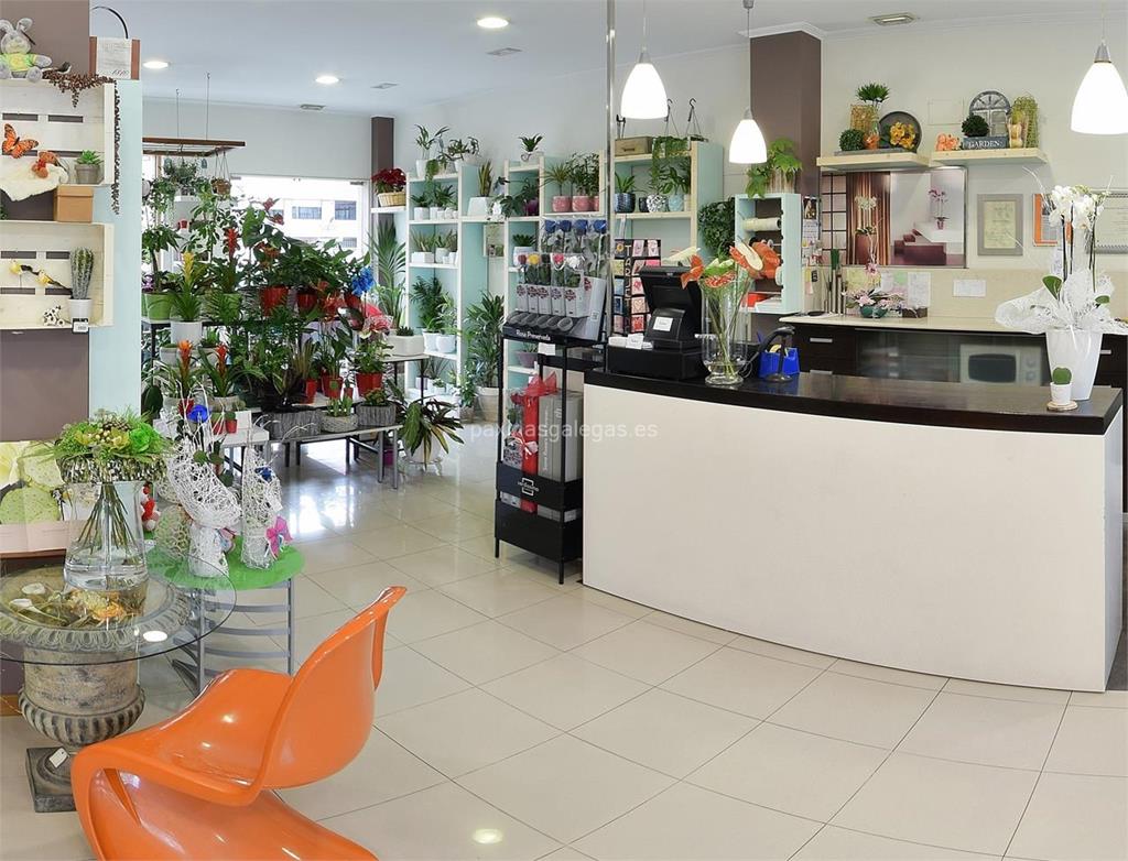 Floristería Sedes imagen 17