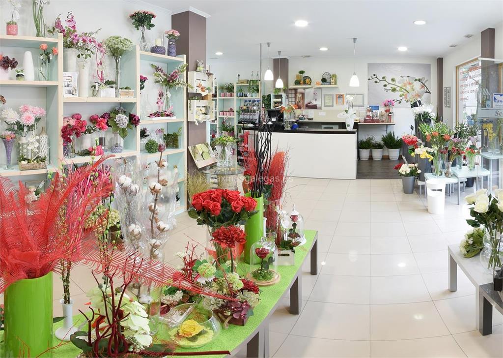 Floristería Sedes imagen 18