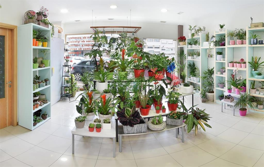 Floristería Sedes imagen 19