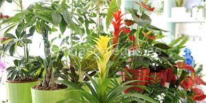 Foto de la empresa (1)