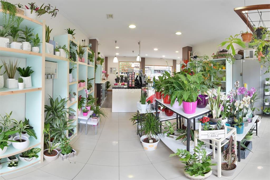 Floristería Sedes imagen 21