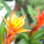 Foto de la empresa (2)