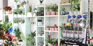 Foto de la empresa (3)