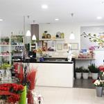 Foto de la empresa (4)