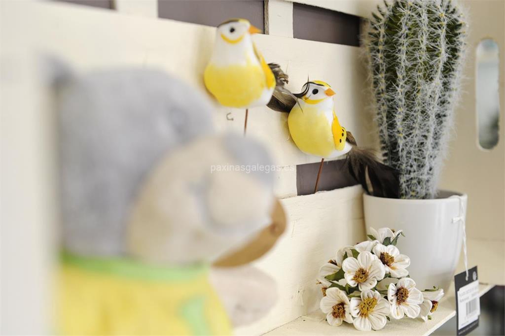 Floristería Sedes imagen 6