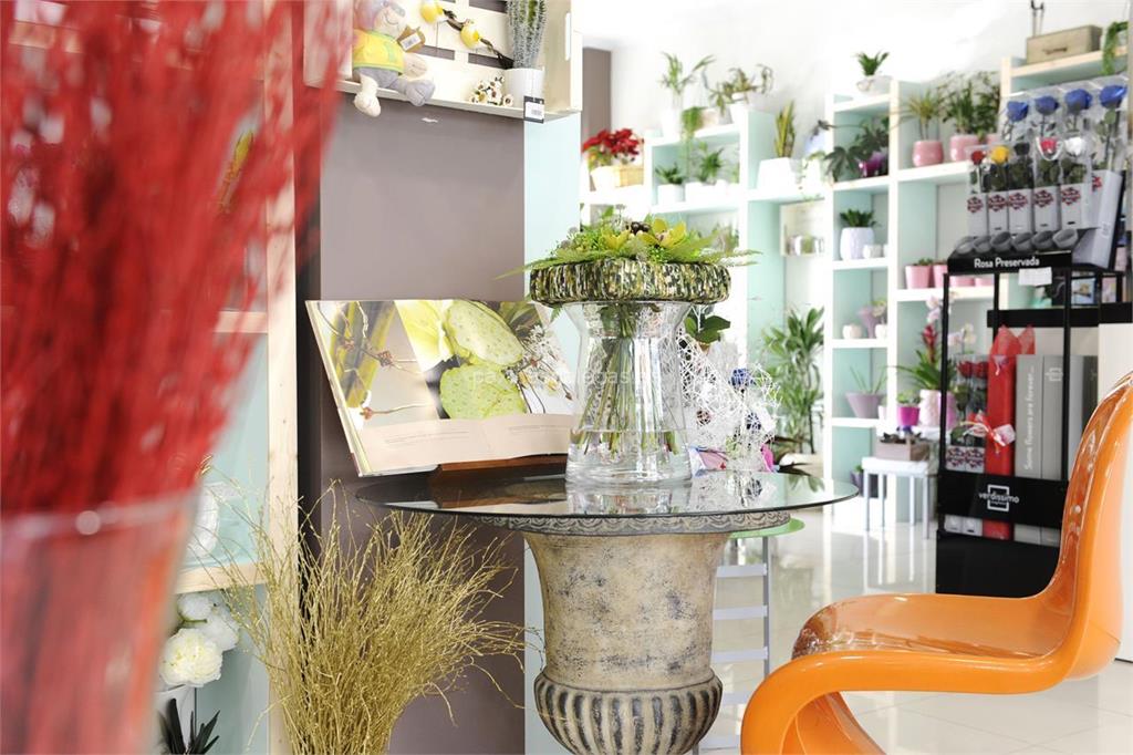 Floristería Sedes imagen 7