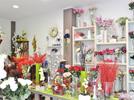 imagen 2 Floristería Sedes