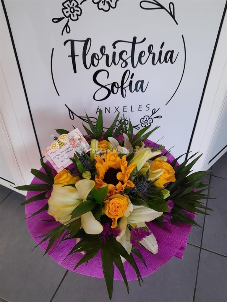 Floristería Sofía - Ánxeles imagen 6