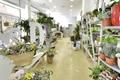 vista interior Floristería Tendencias - Teleflora