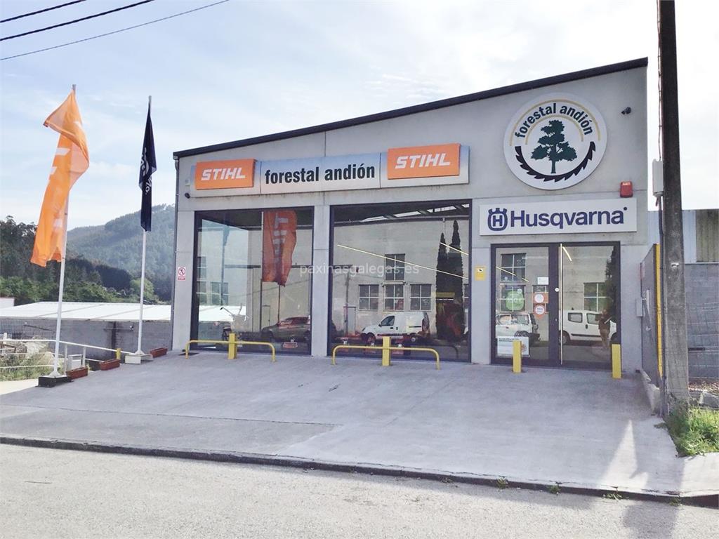 imagen principal Forestal Andión (Husqvarna)