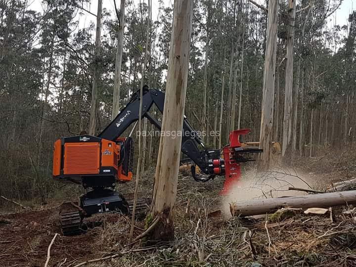 imagen principal Forestal Ría de Abres