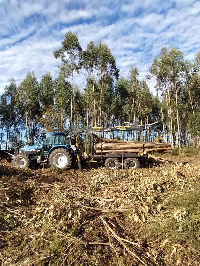imagen principal Forestal Sánchez