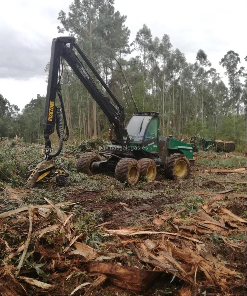 imagen principal Forestales Fran