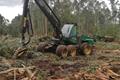 imagen principal Forestales Fran