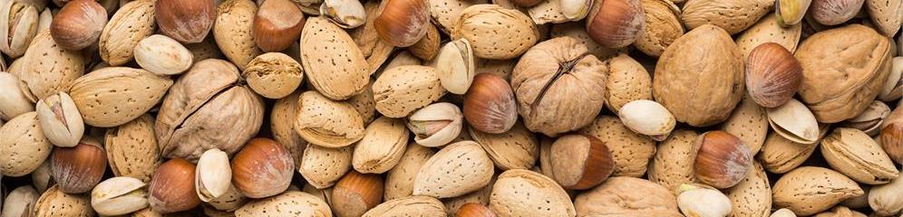 Frutos secos en Galicia