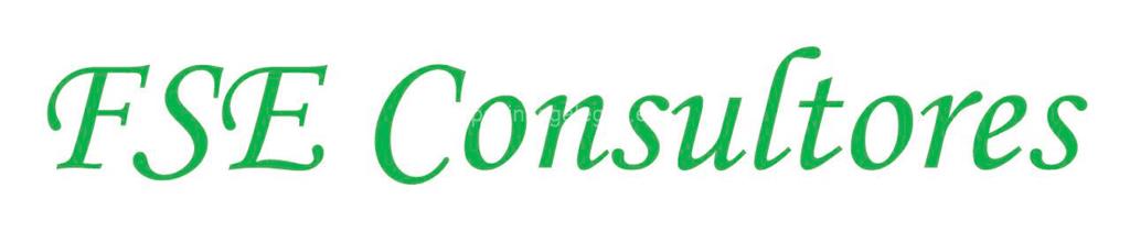 logotipo FSE Consultores