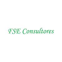 Logotipo FSE Consultores
