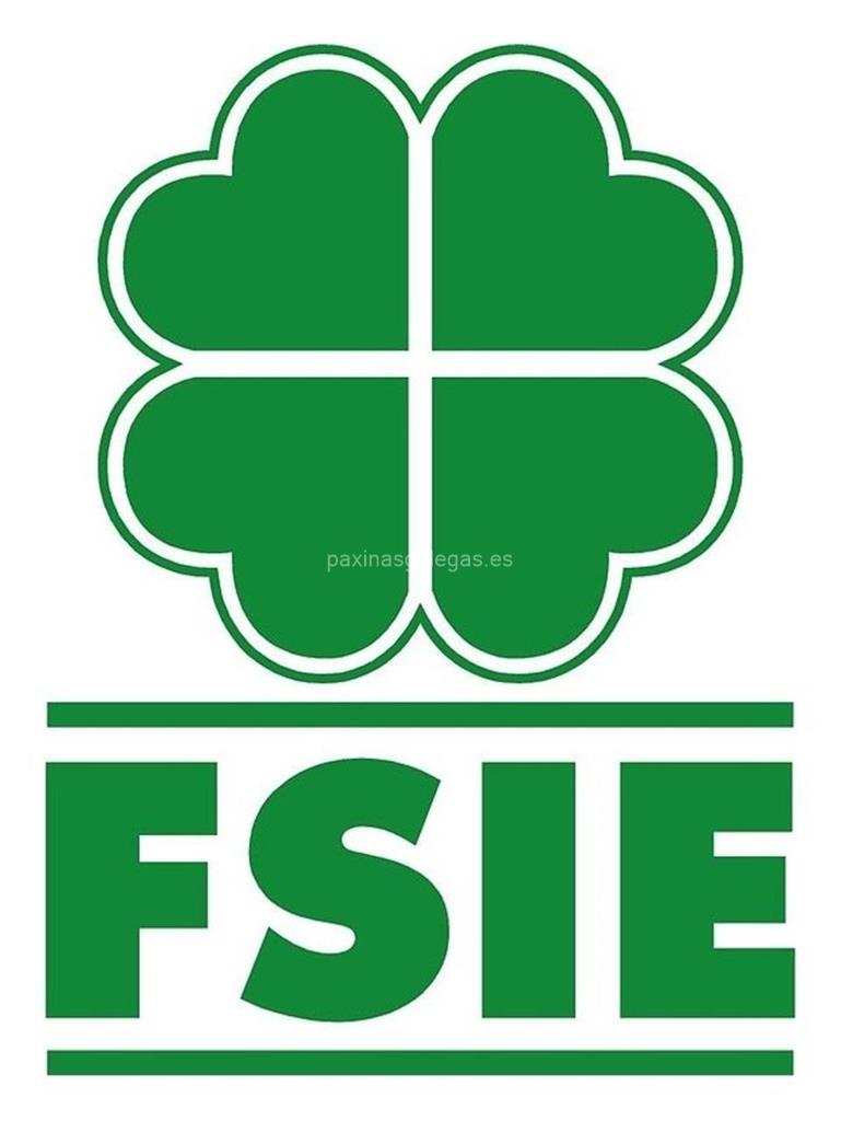 logotipo FSIE - Federación de Sindicatos Independentes de Ensinanza
