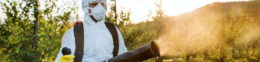 Fumigaciones en Galicia