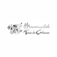 Logotipo Fundación de Disminuidos Psíquicos Terra de Celanova