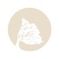 Logotipo Fundación Foltra