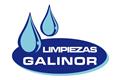 logotipo Galinor