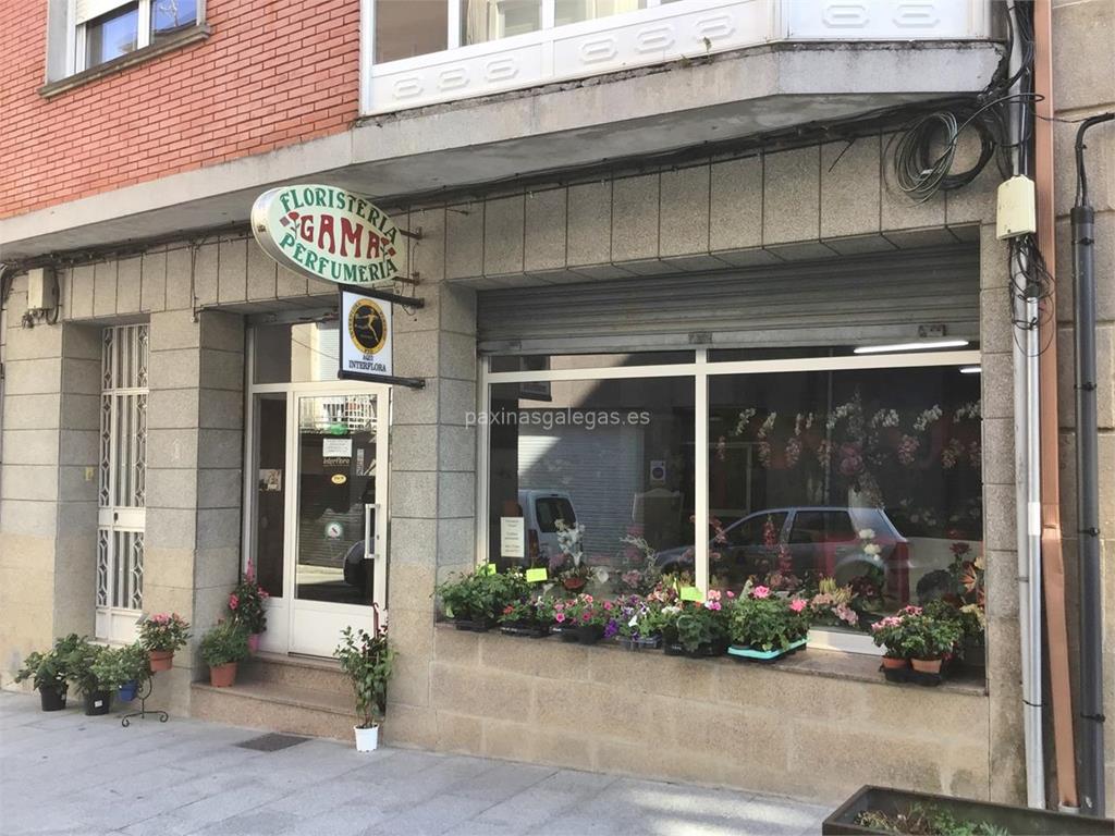 Floristeria Gama