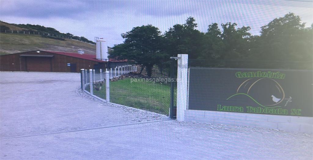imagen principal Gandeiría Laura Taboada, S.C.
