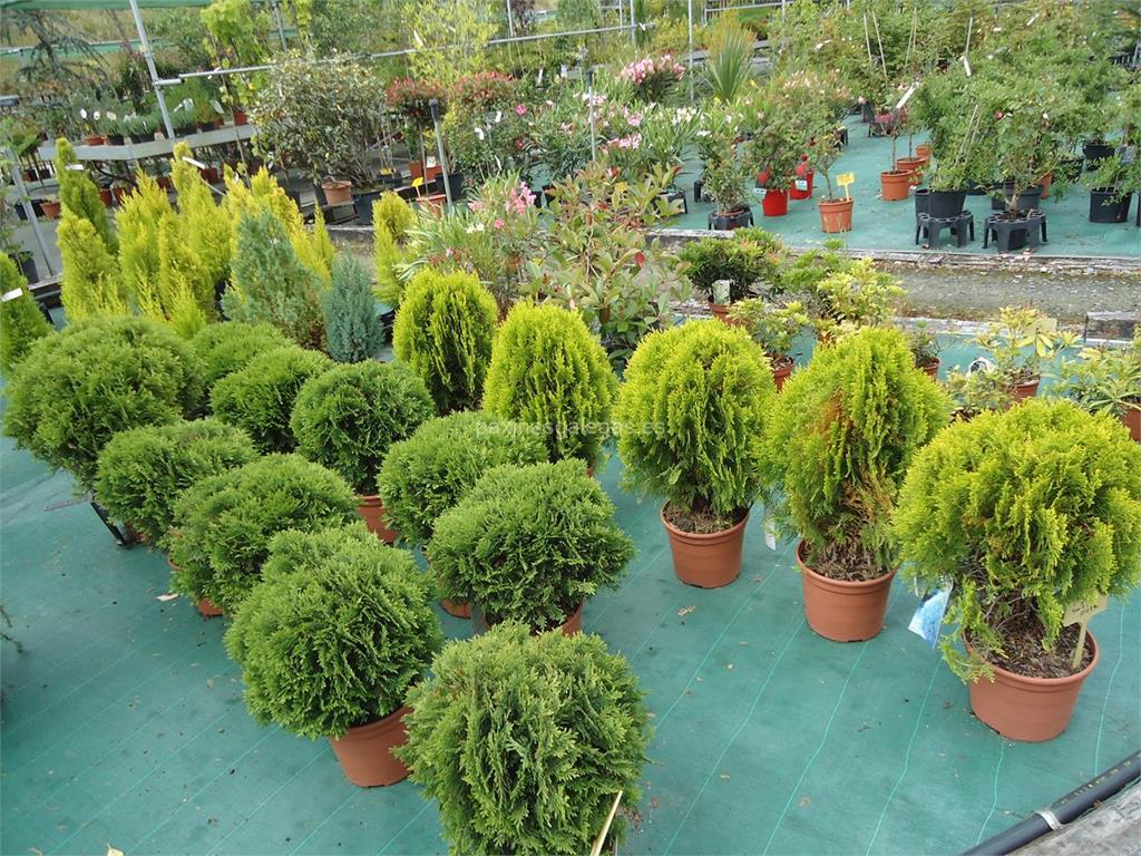 Garden's imagen 12