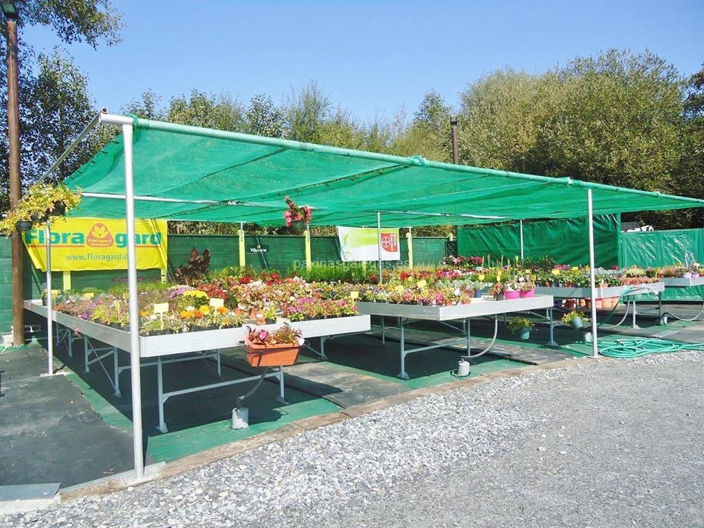 Garden's imagen 17