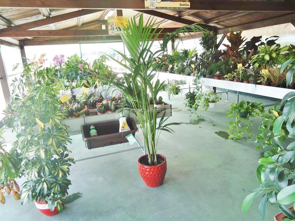 Garden's imagen 18
