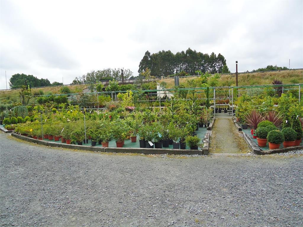 Garden's imagen 6