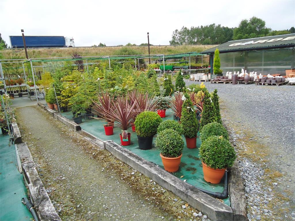 Garden's imagen 7