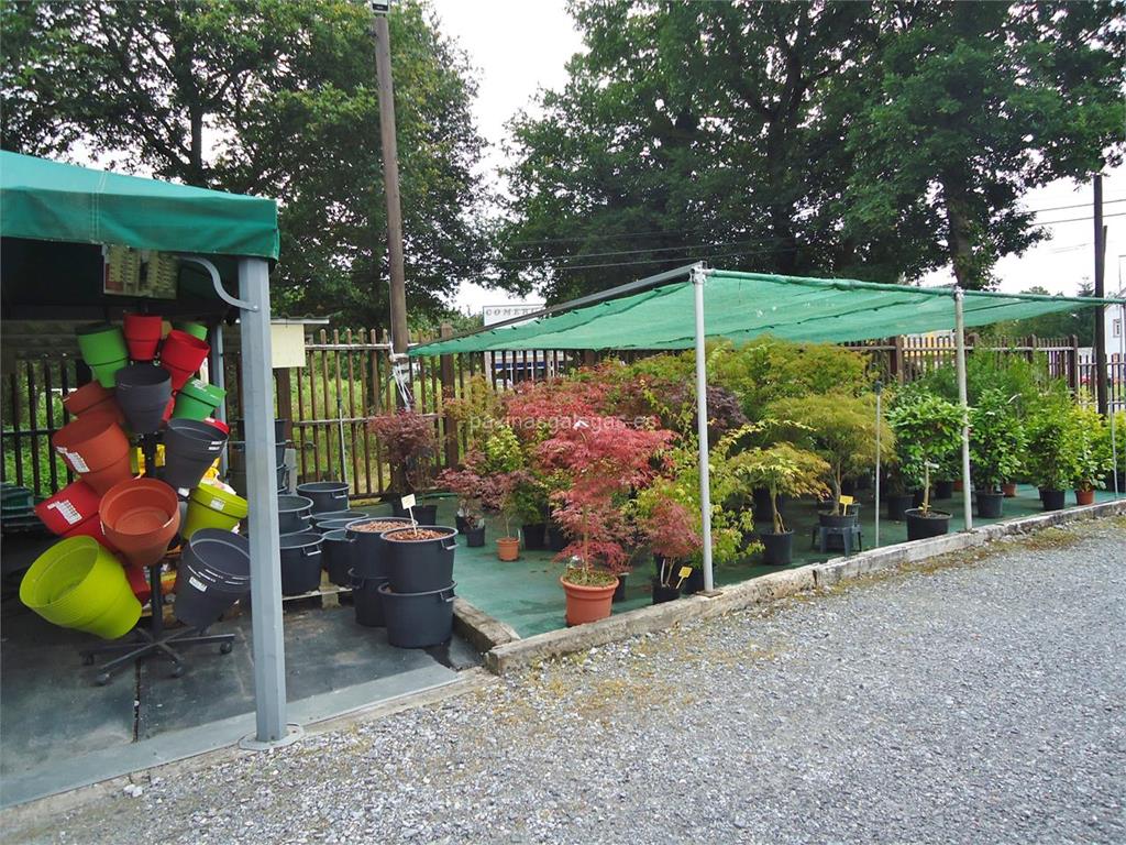 Garden's imagen 8