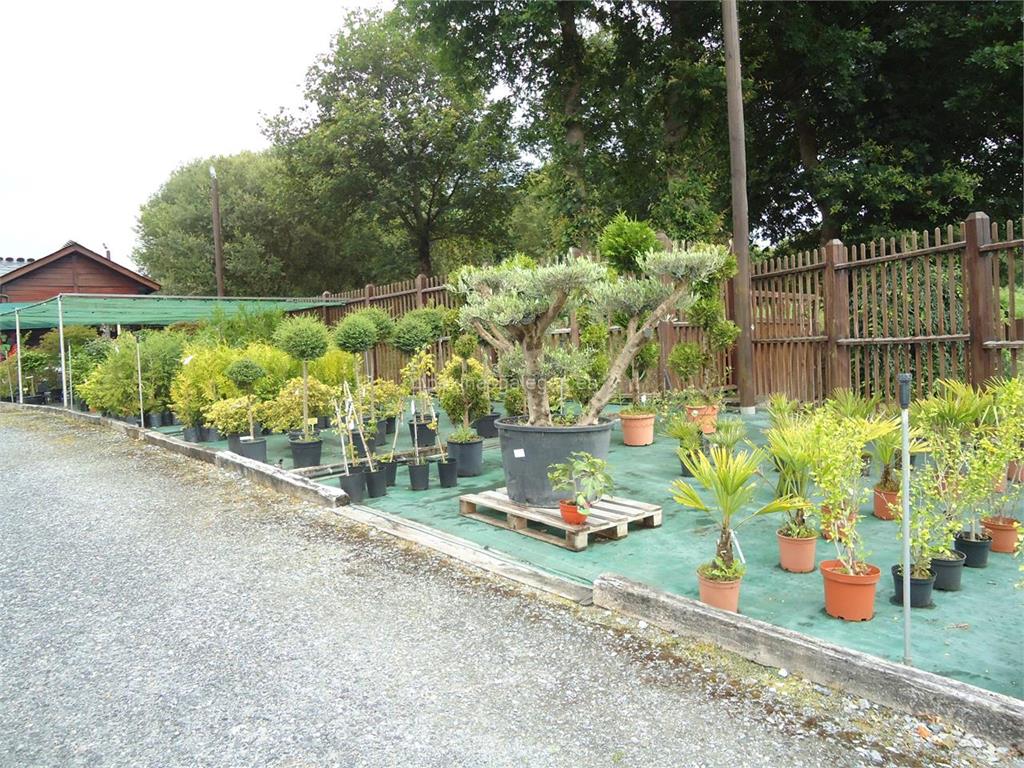 Garden's imagen 10
