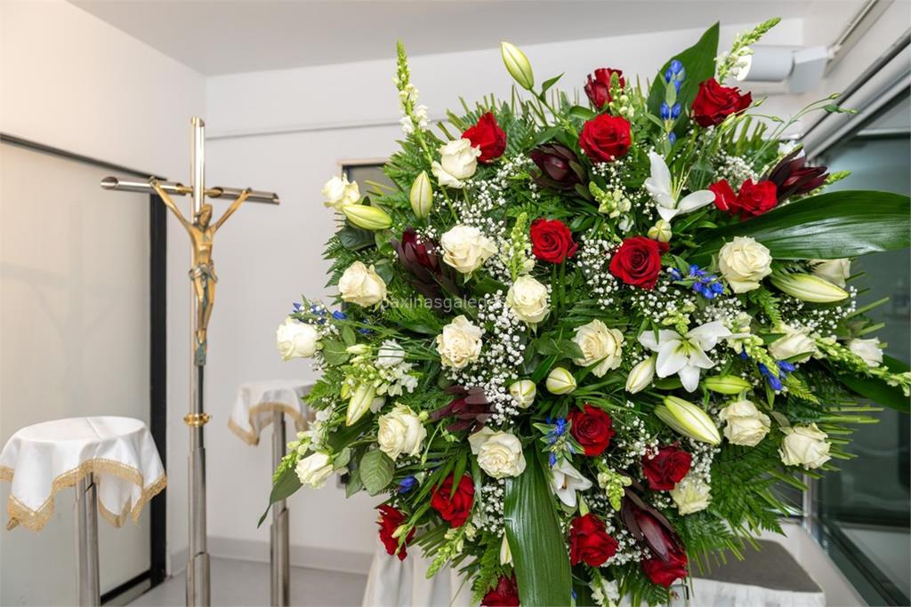 Génesis - Marrosa imagen 18