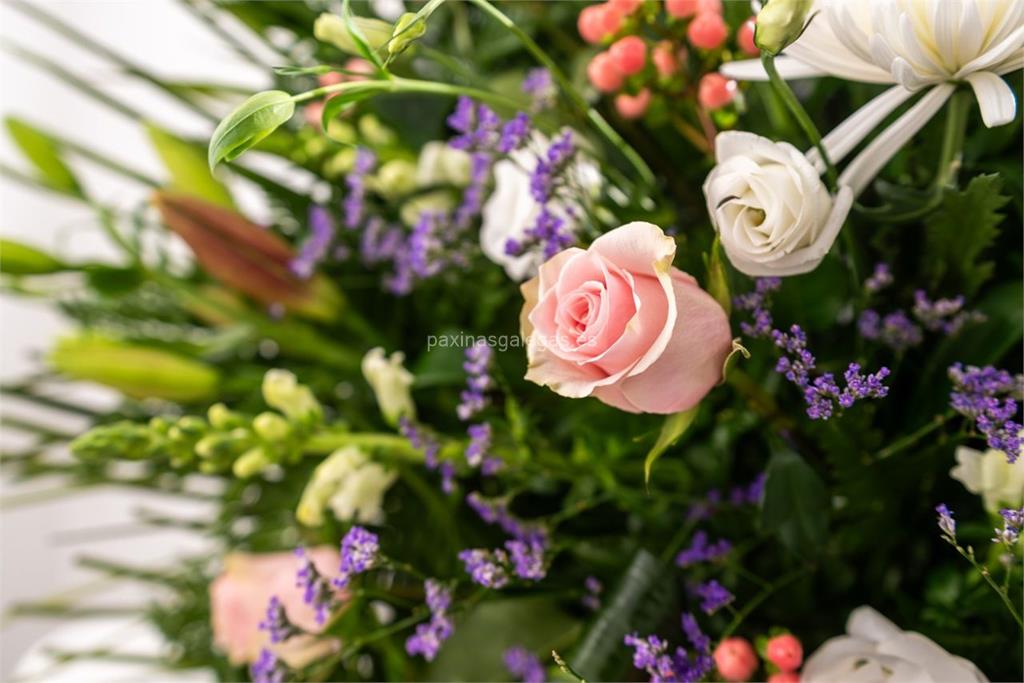 Génesis - Marrosa imagen 19