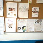 Foto de la empresa (4)