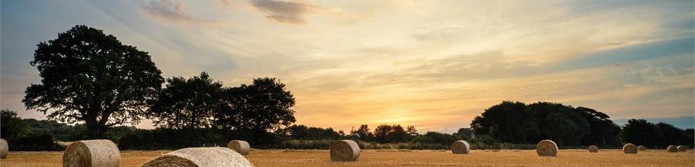 Granjas agrícolas en provincia Lugo